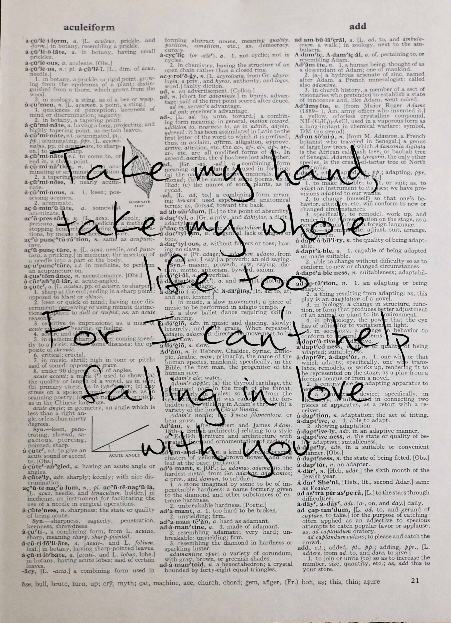 Can't Help Falling In Love ELVIS song lyrics personalised customisable vintage dictionary print