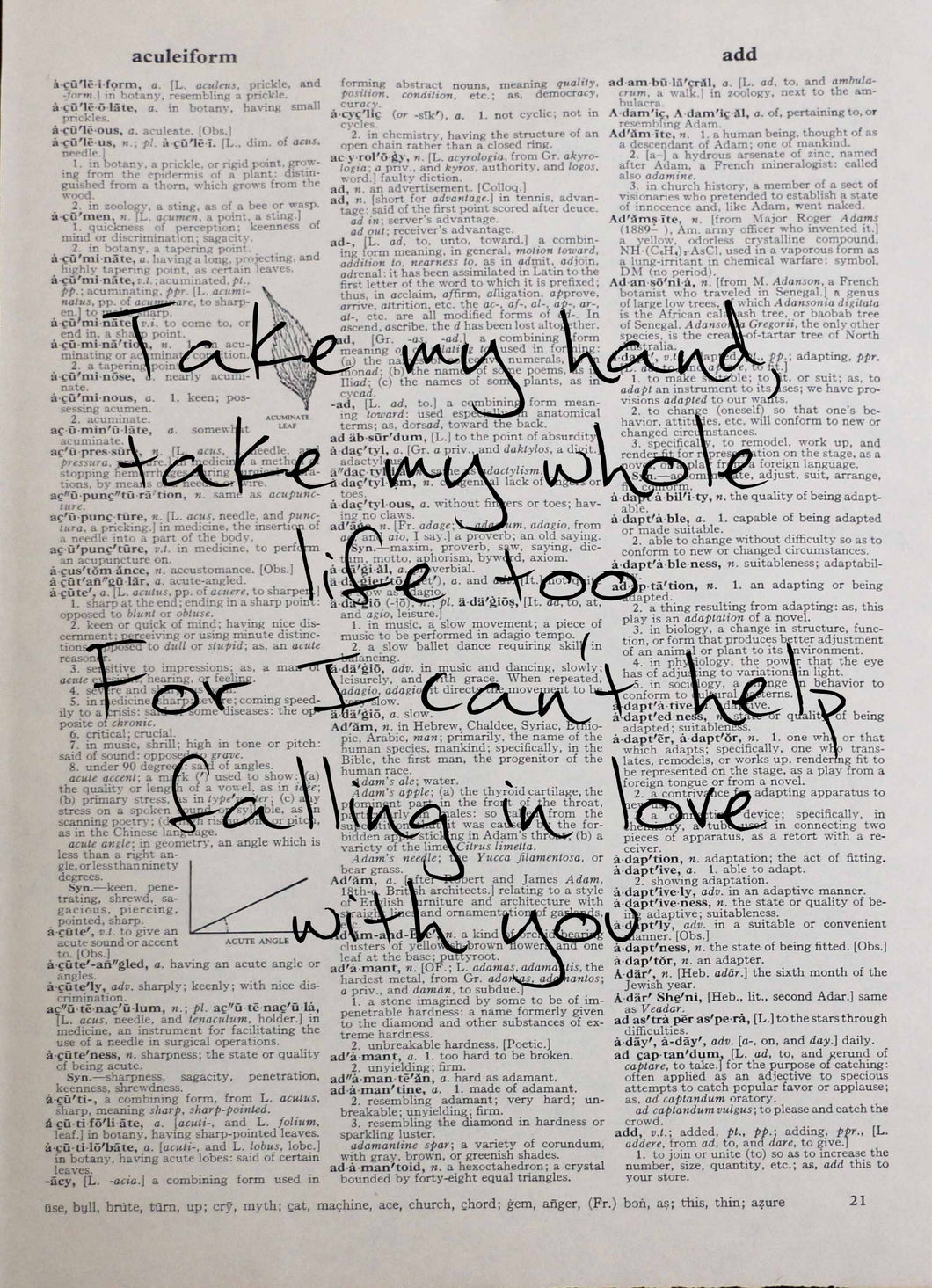 Can't Help Falling In Love ELVIS song lyrics personalised customisable vintage dictionary print