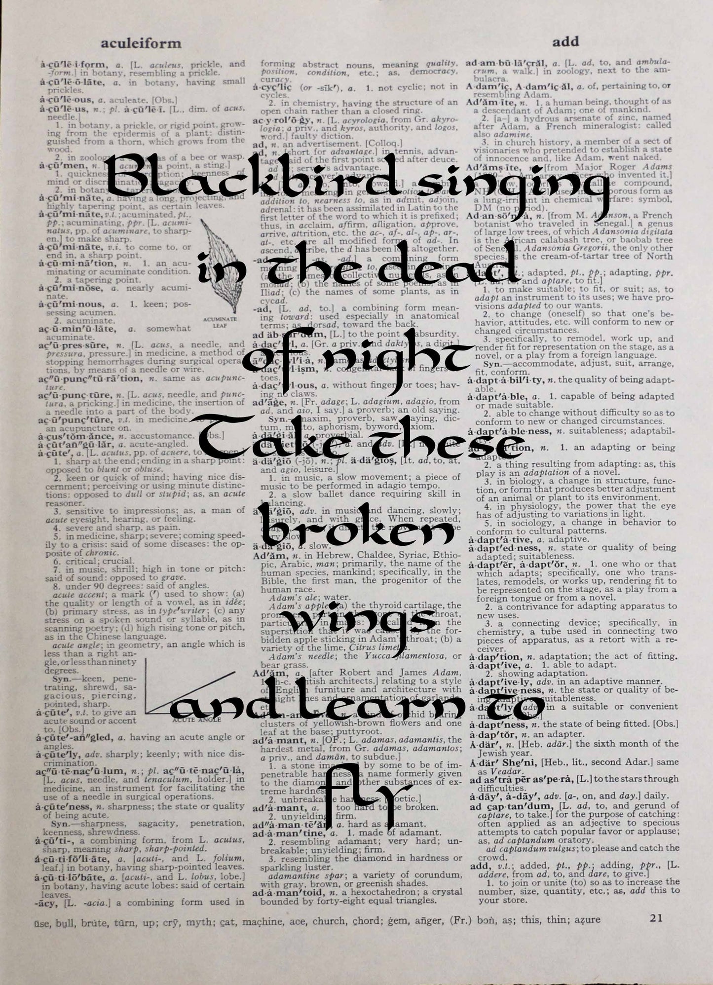 THE BEATLES Blackbird song lyrics personalised customisable vintage dictionary print