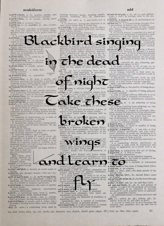 THE BEATLES Blackbird song lyrics personalised customisable vintage dictionary print