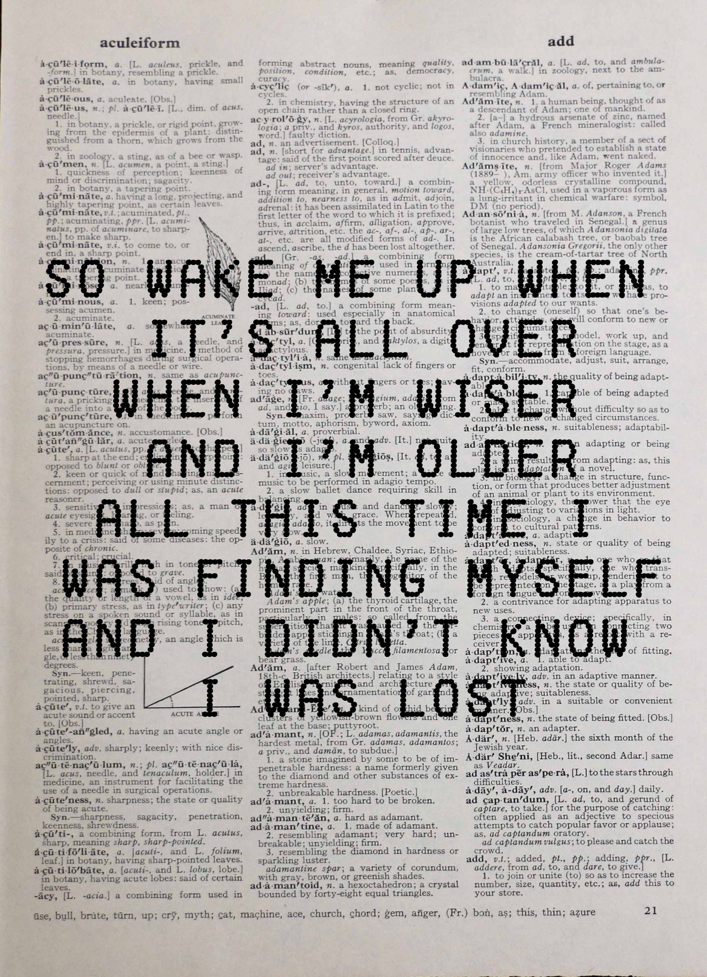AVICII Wake Me Up song lyrics personalised customisable vintage dictionary print