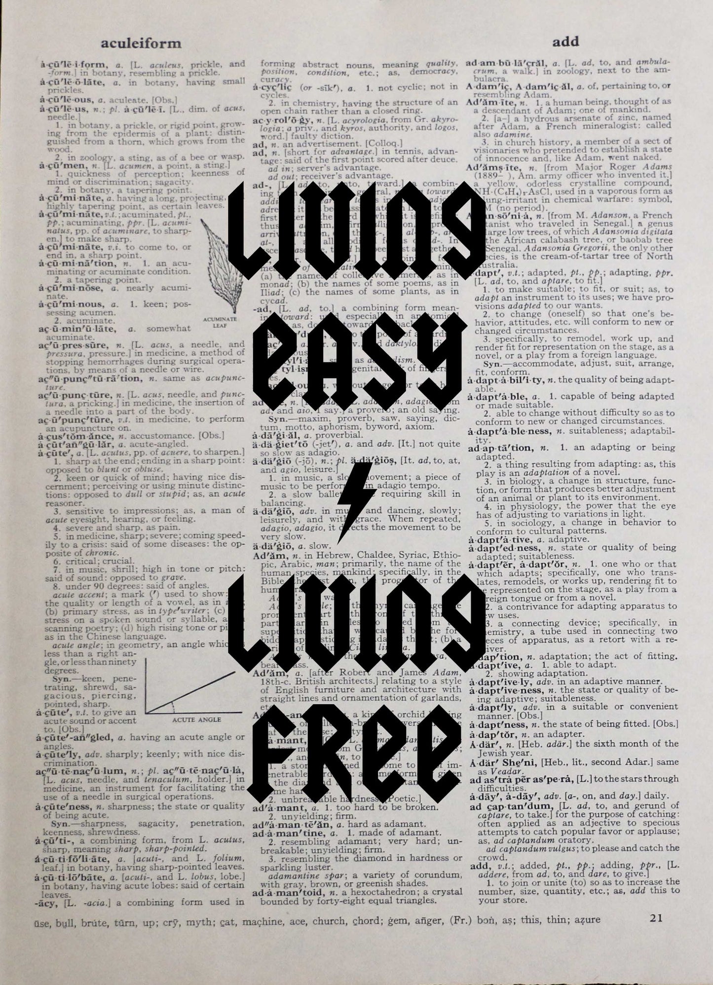 LIVING EASY LIVING FREE personalised customisable inspirational quote vintage dictionary print