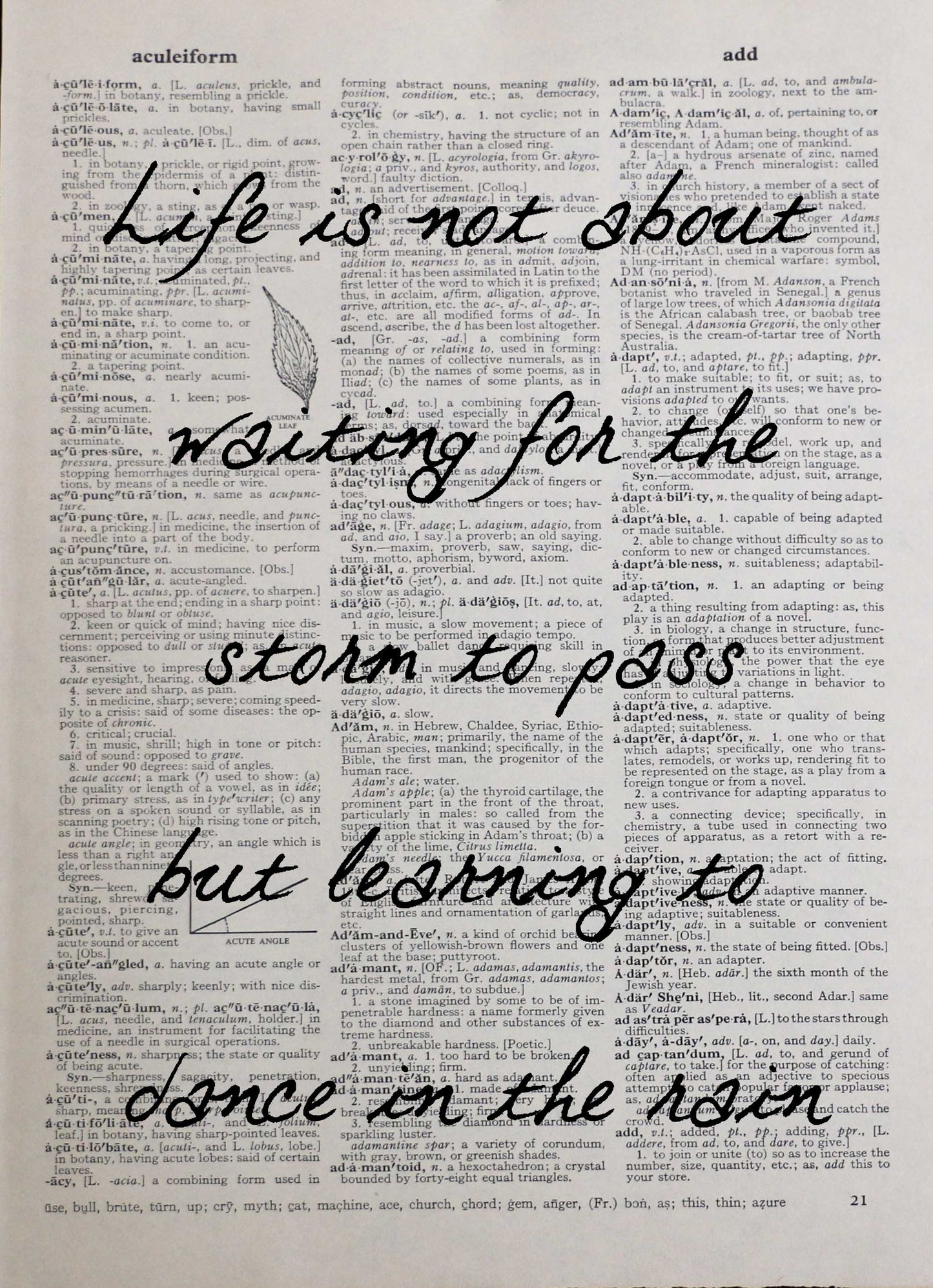 LIFE STORMS personalised customisable inspirational quote vintage dictionary print