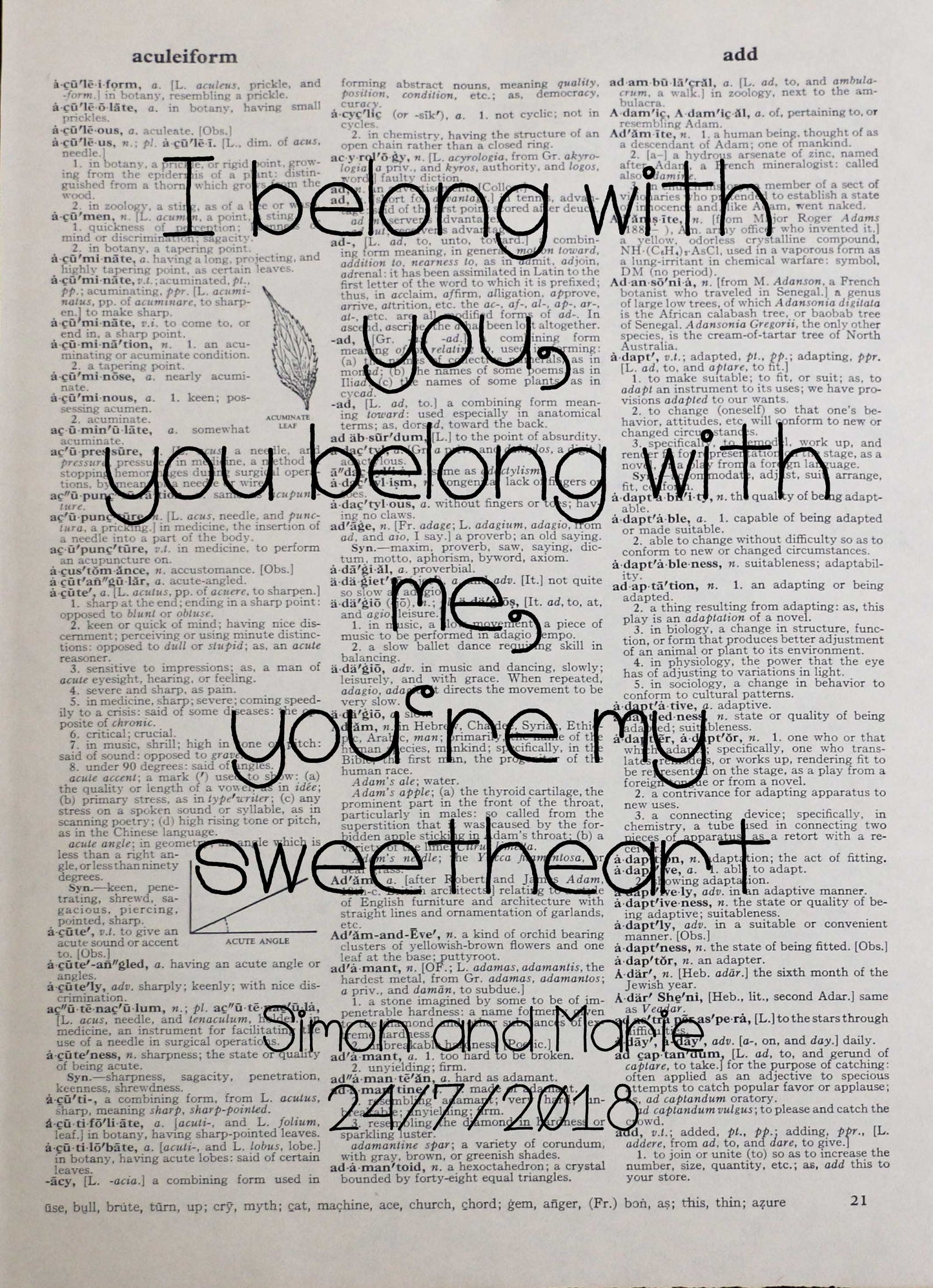 The Lumineers HEY HO personalised customisable wedding song vintage dictionary print